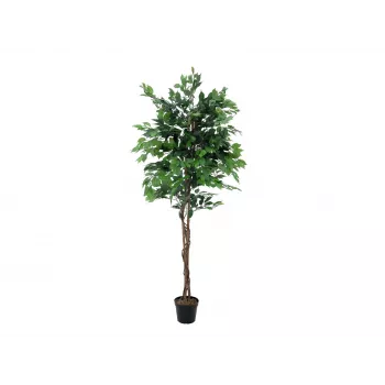 EUROPALMS Ficus Benjamina viackmenná umelá rastlina, 210 cm 82506127