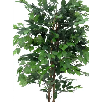 EUROPALMS Ficus Benjamina viackmenná umelá rastlina, 210 cm 82506127
