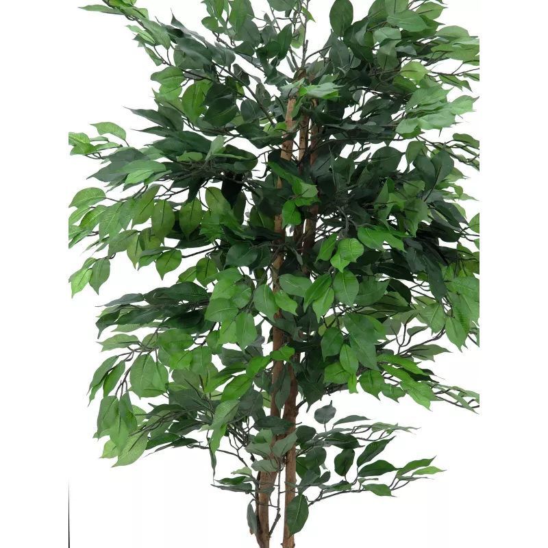 EUROPALMS Ficus Benjamina viackmenná umelá rastlina, 210 cm 82506127
