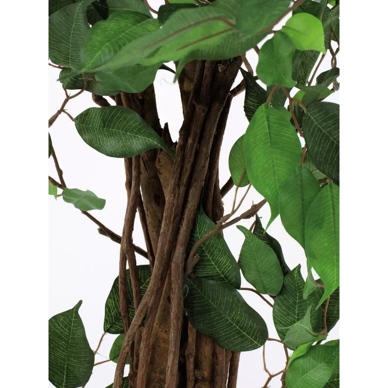 EUROPALMS Ficus Benjamina viackmenná umelá rastlina, 210 cm 82506127