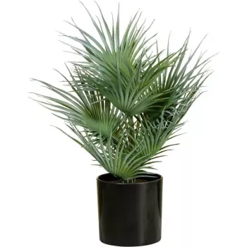 EUROPALMS umelá vejárová palma v kvetináči, 55 cm 82509401