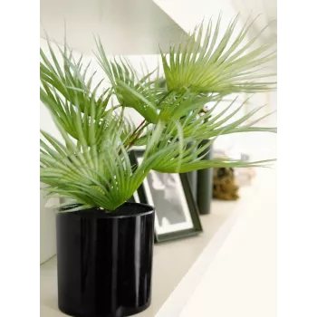 EUROPALMS umelá vejárová palma v kvetináči, 55 cm 82509401