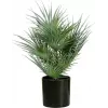 EUROPALMS umelá vejárová palma v kvetináči, 55 cm 82509401