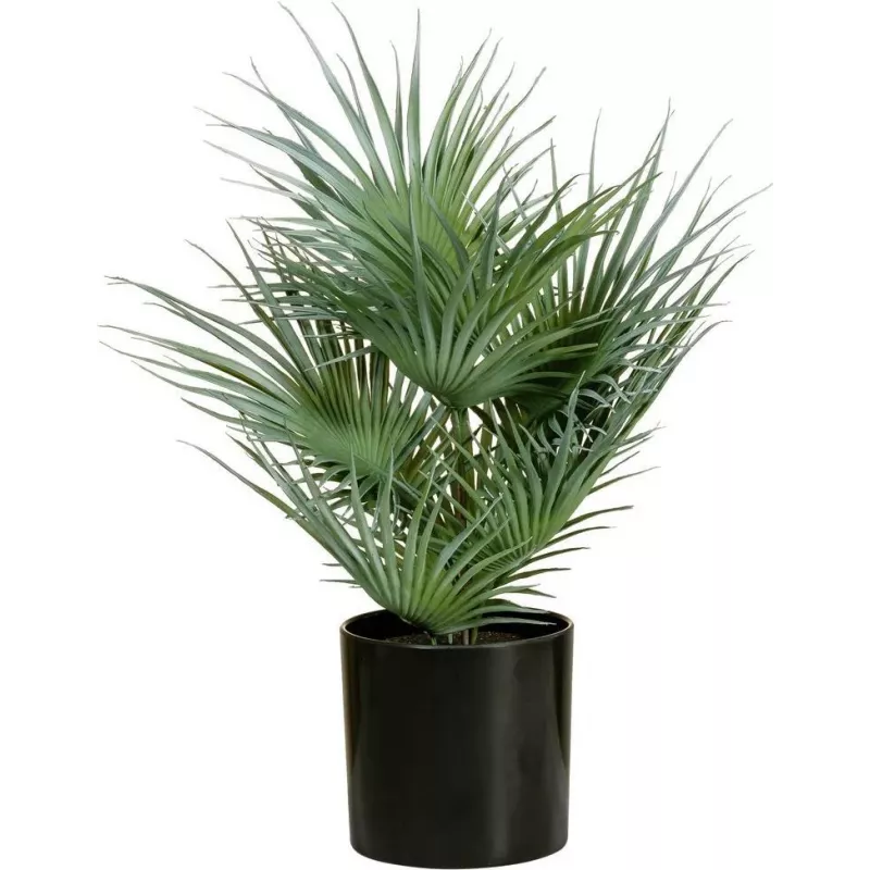 EUROPALMS umelá vejárová palma v kvetináči, 55 cm 82509401