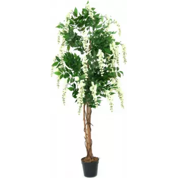 EUROPALMS zlatý dážď umelá rastlina, biela, 150 cm (82507105)