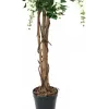 EUROPALMS zlatý dážď umelá rastlina, biela, 150 cm (82507105)
