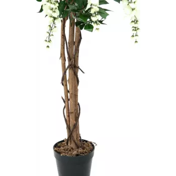 EUROPALMS zlatý dážď umelá rastlina, biela, 150 cm (82507105)
