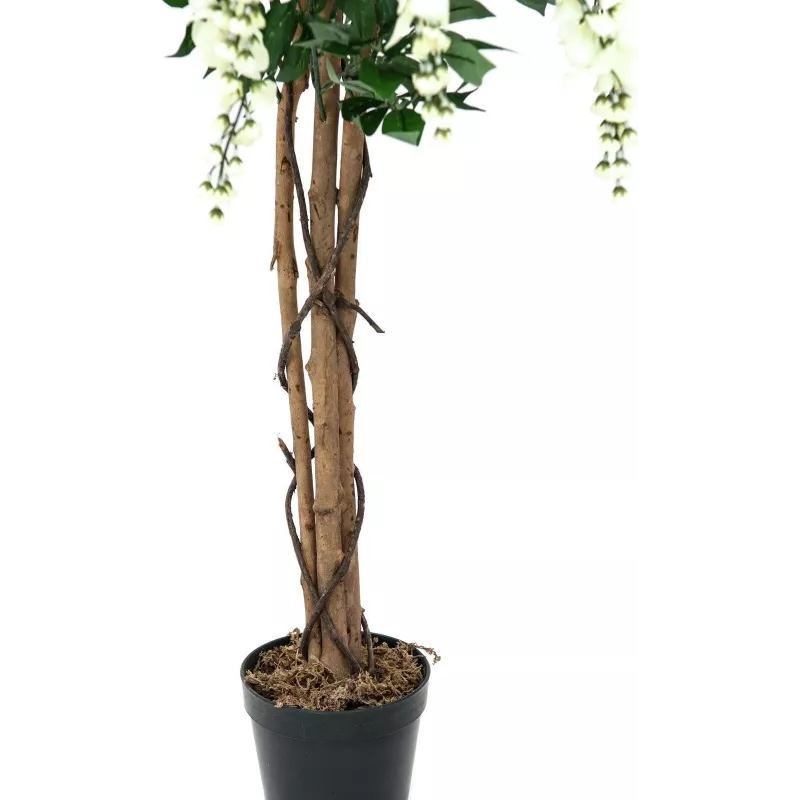 EUROPALMS zlatý dážď umelá rastlina, biela, 150 cm (82507105)
