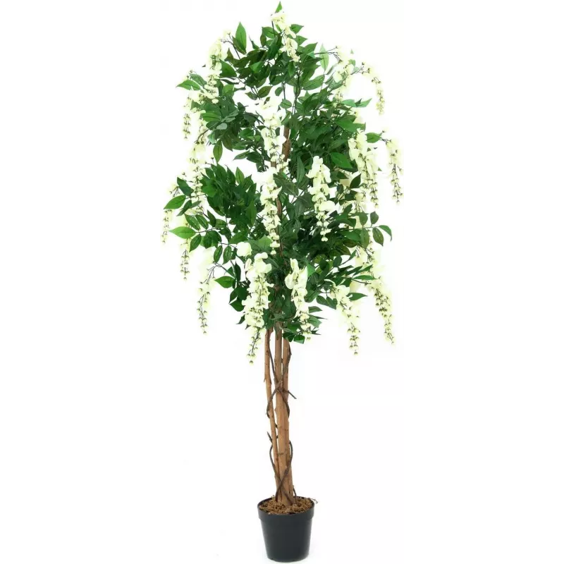 EUROPALMS zlatý dážď umelá rastlina, biela, 150 cm (82507105)