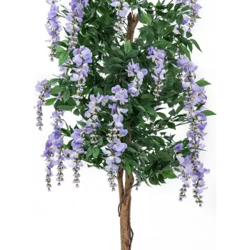 EUROPALMS umelý strom zlatého dažďa, fialové kvety, 180 cm 82507136