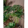 EUROPALMS Monstera deliciosa umelá rastlina, 90 cm 82600220