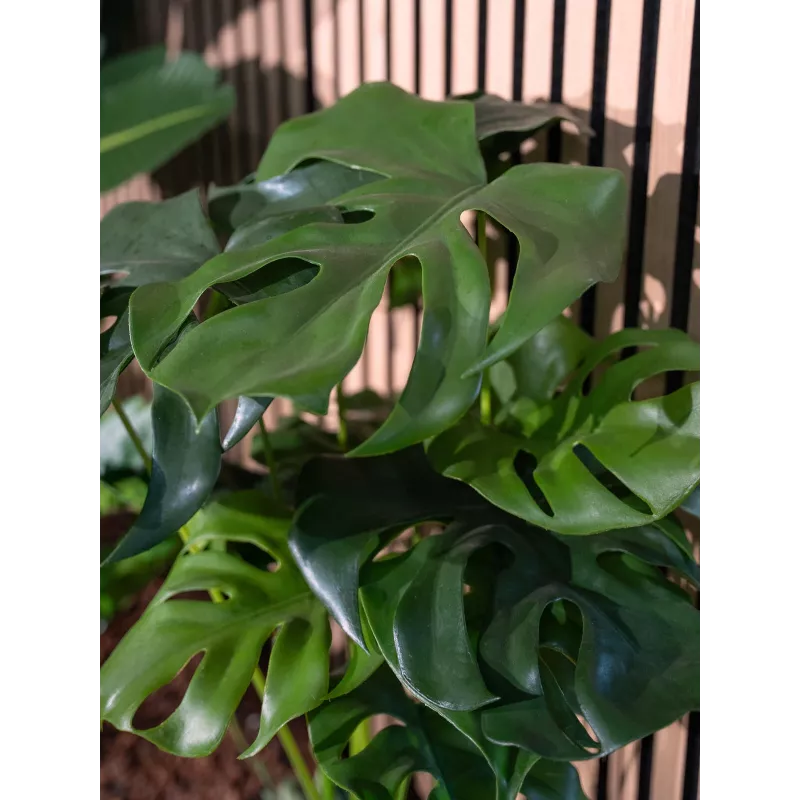 EUROPALMS Monstera deliciosa umelá rastlina, 90 cm 82600220