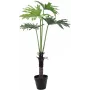 EUROPALMS Split-Leaf Philodendron umelá rastlina, 120 cm 82600222