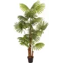 EUROPALMS umelá vejárová palma, 165 cm 82509305