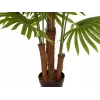 EUROPALMS umelá vejárová palma, 165 cm 82509305