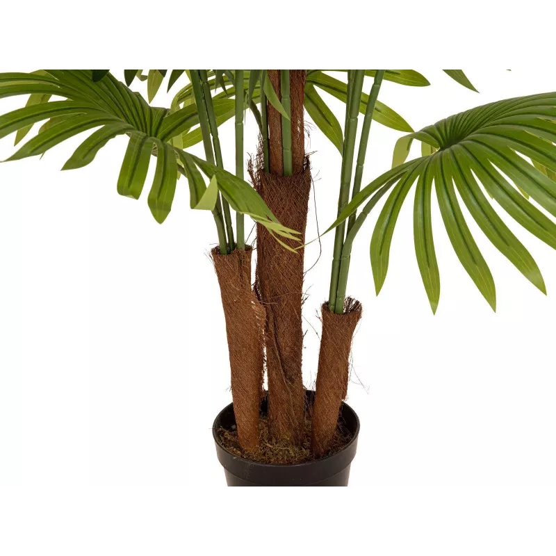 EUROPALMS umelá vejárová palma, 165 cm 82509305