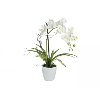 EUROPALMS umelá aranžmán orchideí 1, v kvetináči, bielo-ružová, 60 cm 82530346