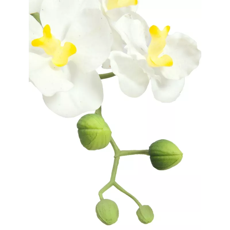 EUROPALMS umelá aranžmán orchideí 1, v kvetináči, bielo-ružová, 60 cm 82530346