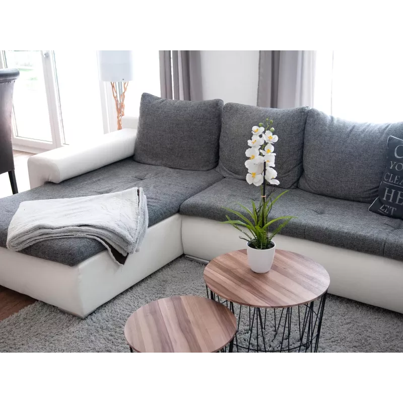 EUROPALMS umelá aranžmán orchideí 1, v kvetináči, bielo-ružová, 60 cm 82530346