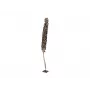 EUROPALMS Cacho Coco umelá kokosová palma, 120-190 cm, pravý drevený kmeň, 12 listov, interiérová 83502349