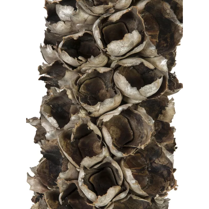 EUROPALMS Cacho Coco umelá kokosová palma, 120-190 cm, pravý drevený kmeň, 12 listov, interiérová 83502349