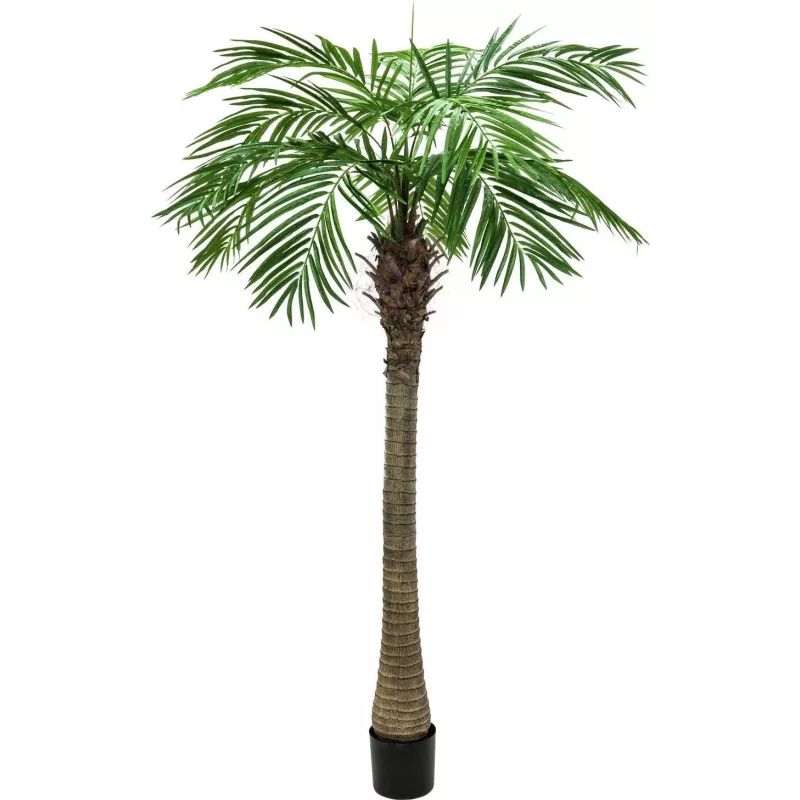 EUROPALMS Luxor umelá phoenix palma, 150 cm, zelená 82510720