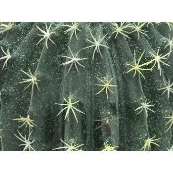 EUROPALMS umelý guľovitý kaktus, 34 cm 82600063