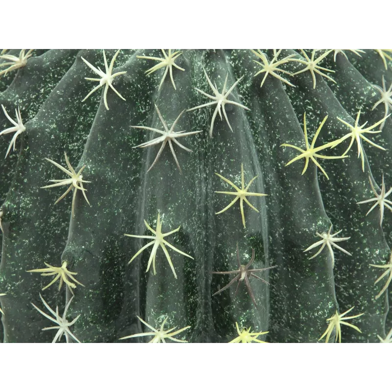 EUROPALMS umelý guľovitý kaktus, 34 cm 82600063