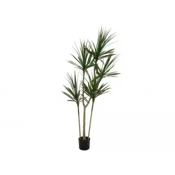 EUROPALMS Dracena umelá rastlina, zelená, 170 cm 82505799