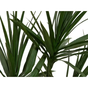 EUROPALMS Dracena umelá rastlina, zelená, 170 cm 82505799