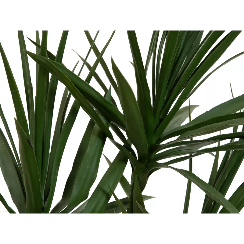 EUROPALMS Dracena umelá rastlina, zelená, 170 cm 82505799