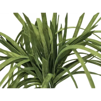 EUROPALMS umelá morská tráva (EVA), zelená 82531062