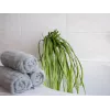 EUROPALMS umelá morská tráva (EVA), zelená 82531062
