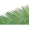 EUROPALMS Umelý list kokosovej kráľovskej palmy, 180cm 82509847