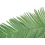 EUROPALMS Umelý list kokosovej kráľovskej palmy, 180cm 82509847