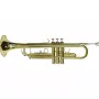 DIMAVERY TP-10 Bb trúbka, zlatý lak 26503100