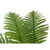 EUROPALMS Cycas palma umelá rastlina, 70 cm 82509604
