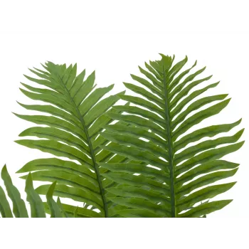 EUROPALMS Cycas palma umelá rastlina, 70 cm 82509604