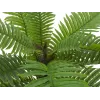 EUROPALMS Cycas palma umelá rastlina, 70 cm 82509604