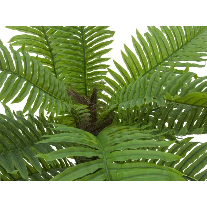 EUROPALMS Cycas palma umelá rastlina, 70 cm 82509604