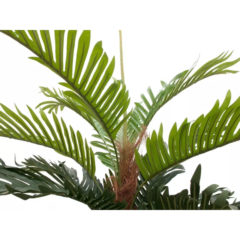 EUROPALMS umelá palma kentia, 150 cm 82511366