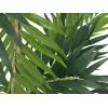 EUROPALMS umelá rastlina palma, 150 cm 82509495