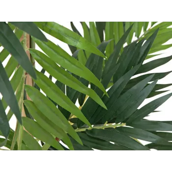 EUROPALMS umelá rastlina palma, 150 cm 82509495