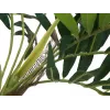 EUROPALMS umelá rastlina palma, 150 cm 82509495