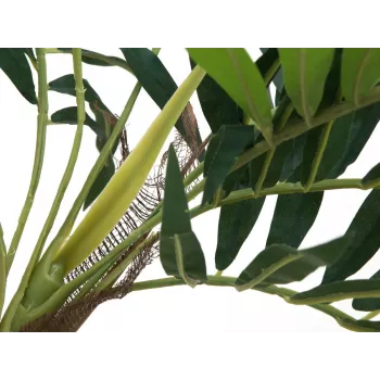 EUROPALMS umelá rastlina palma, 150 cm 82509495