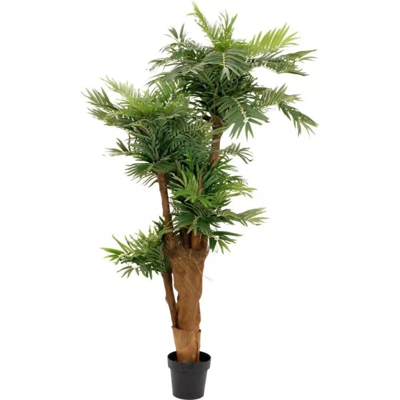 EUROPALMS Areca palma umelá rastlina 170 cm 82509408