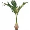 EUROPALMS Phoenix palma umelá rastlina, 240 cm 82511353
