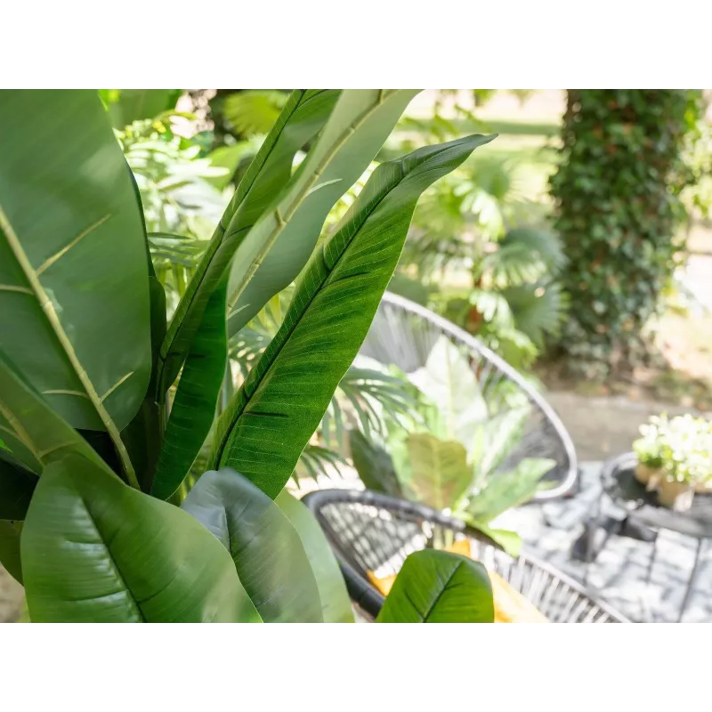 EUROPALMS umelý banánovník, 210 cm 82509507