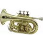 DIMAVERY TP-300 Bb vrecková trúbka, zlatý lak 26503720