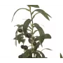 EUROPALMS umelý olivovník, 68 cm, zelené listy, čierny kvetináč 82506421